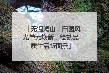 无锡鸿山：田园风光单元焕新，绘就品质生活新图景
