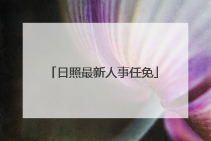 日照最新人事任免