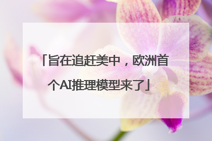 旨在追赶美中，欧洲首个AI推理模型来了