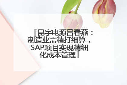 昆宇电源吕春燕：制造业需精打细算，SAP项目实现精细化成本管理