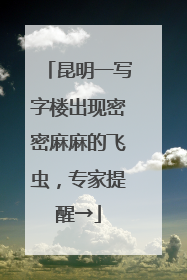 昆明一写字楼出现密密麻麻的飞虫，专家提醒→