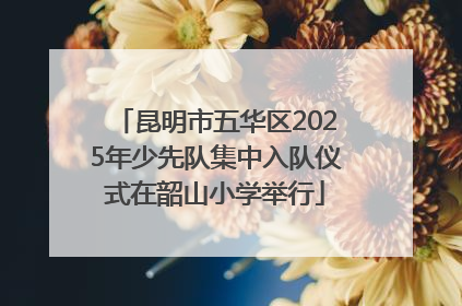 昆明市五华区2025年少先队集中入队仪式在韶山小学举行