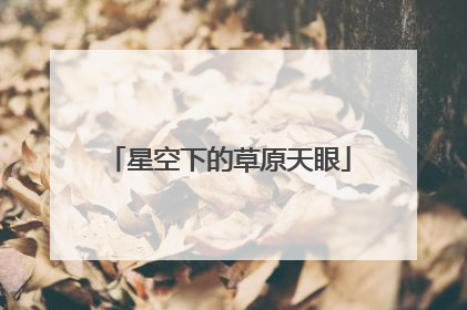 星空下的草原天眼