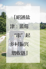 昭通盐津：蓝莓“串”起乡村振兴增收链