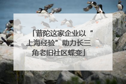普陀这家企业以“上海经验”助力长三角老旧社区蝶变