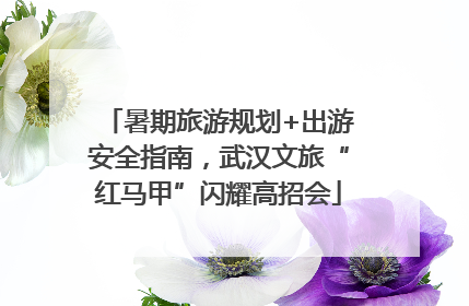暑期旅游规划+出游安全指南，武汉文旅“红马甲”闪耀高招会