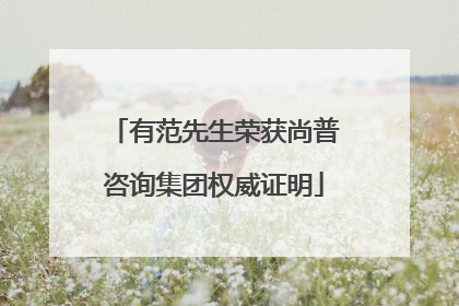 有范先生荣获尚普咨询集团权威证明