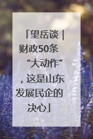 望岳谈｜财政50条“大动作”，这是山东发展民企的决心