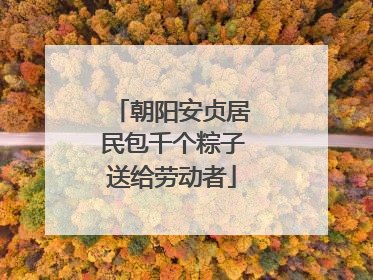 朝阳安贞居民包千个粽子送给劳动者