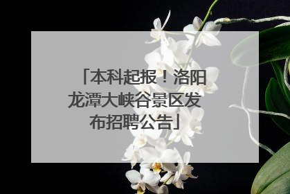 本科起报！洛阳龙潭大峡谷景区发布招聘公告