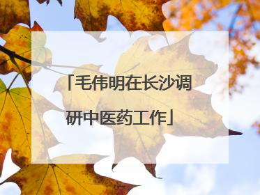毛伟明在长沙调研中医药工作