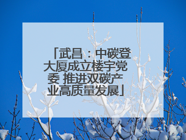 武昌：中碳登大厦成立楼宇党委 推进双碳产业高质量发展