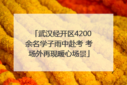 武汉经开区4200余名学子雨中赴考 考场外再现暖心场景