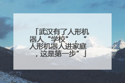 武汉有了人形机器人“学校”，“人形机器人进家庭，这是第一步”