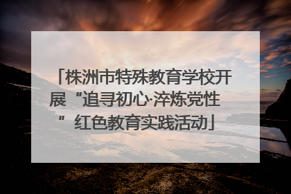 株洲市特殊教育学校开展“追寻初心·淬炼党性”红色教育实践活动