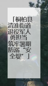 桐柏县清淮街道退役军人勇担当 筑牢暑期防溺“安全堤”