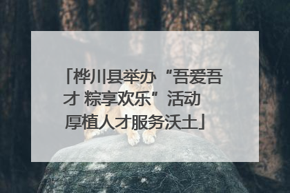 桦川县举办“吾爱吾才 粽享欢乐”活动 厚植人才服务沃土