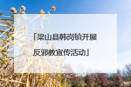 梁山县韩岗镇开展反邪教宣传活动