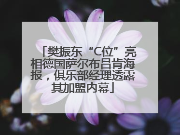 樊振东“C位”亮相德国萨尔布吕肯海报，俱乐部经理透露其加盟内幕