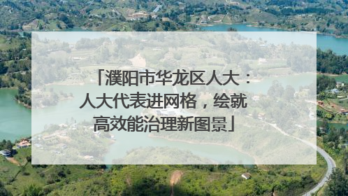 濮阳市华龙区人大：人大代表进网格，绘就高效能治理新图景