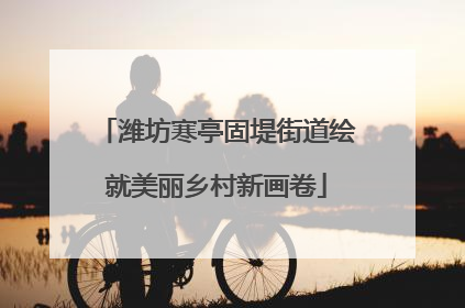 潍坊寒亭固堤街道绘就美丽乡村新画卷
