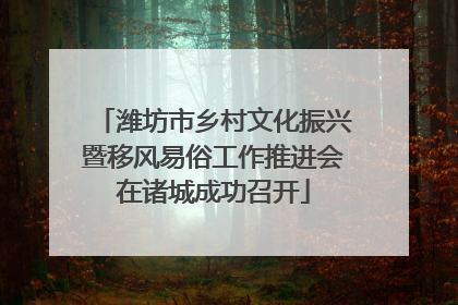 潍坊市乡村文化振兴暨移风易俗工作推进会在诸城成功召开