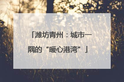 潍坊青州：城市一隅的“暖心港湾”