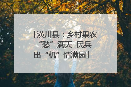 潢川县：乡村果农“愁”满天  民兵出“机”情满园