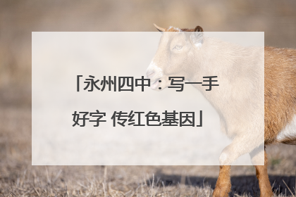 永州四中：写一手好字 传红色基因