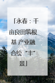 永春：千亩良田筑根基 产业融合绘“丰”景