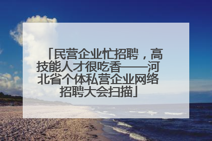 民营企业忙招聘，高技能人才很吃香——河北省个体私营企业网络招聘大会扫描