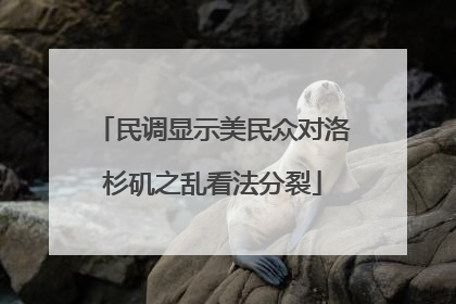 民调显示美民众对洛杉矶之乱看法分裂