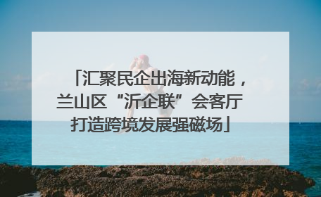 汇聚民企出海新动能，兰山区“沂企联”会客厅打造跨境发展强磁场