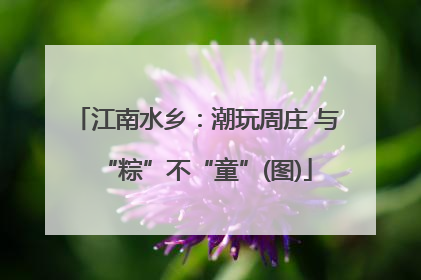江南水乡：潮玩周庄 与“粽”不“童”(图)