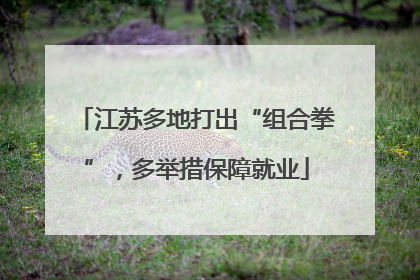 江苏多地打出“组合拳”，多举措保障就业