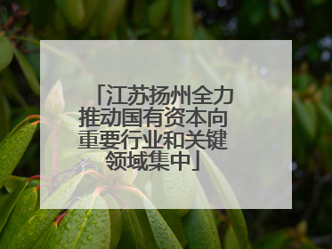 江苏扬州全力推动国有资本向重要行业和关键领域集中