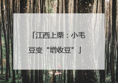江西上栗：小毛豆变“增收豆”