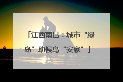 江西南昌：城市“绿岛”助候鸟“安家”