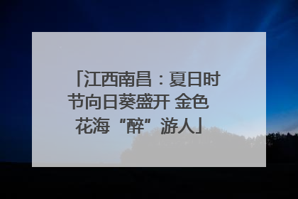 江西南昌：夏日时节向日葵盛开 金色花海“醉”游人