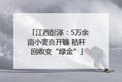江西彭泽：5万余亩小麦喜开镰 秸秆回收变“绿金”