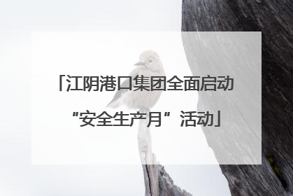 江阴港口集团全面启动“安全生产月”活动