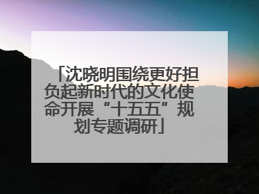 沈晓明围绕更好担负起新时代的文化使命开展“十五五”规划专题调研