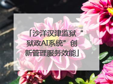 沙洋汉津监狱“狱政AI系统”创新管理服务效能