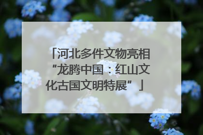 河北多件文物亮相“龙腾中国：红山文化古国文明特展”