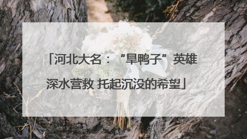 河北大名：“旱鸭子”英雄深水营救 托起沉没的希望