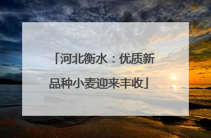河北衡水：优质新品种小麦迎来丰收