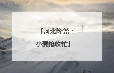 河北隆尧：小麦抢收忙