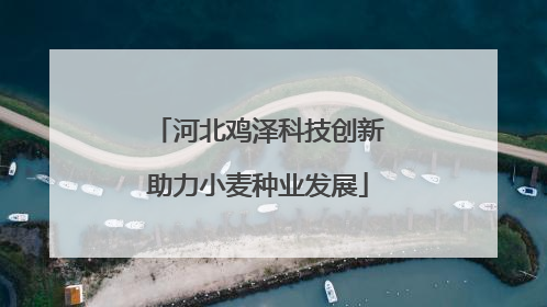 河北鸡泽科技创新助力小麦种业发展