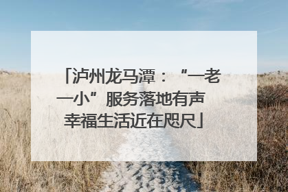 泸州龙马潭：“一老一小”服务落地有声 幸福生活近在咫尺