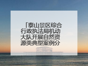 泰山景区综合行政执法局机动大队开展自然资源类典型案例分析交流活动